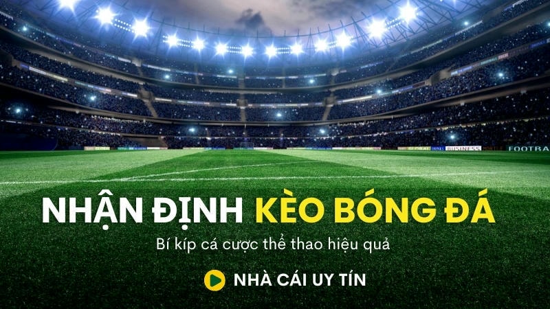 Sử dụng các chỉ số chuyên sâu để đưa ra quyết định cá cược thông minh hơn.