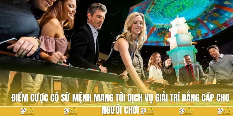 Sử Dụng Tính Năng Theo Dõi Trên Nền Tảng 58Win