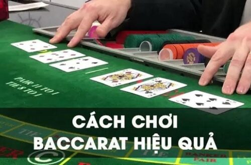 Chiến thuật cược hiệu quả từ cao thủ