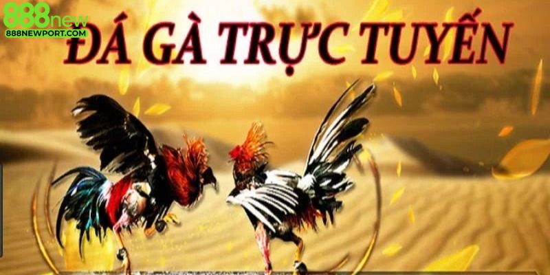 Các loại hình đá gà 888new nổi bật nhất năm 2025