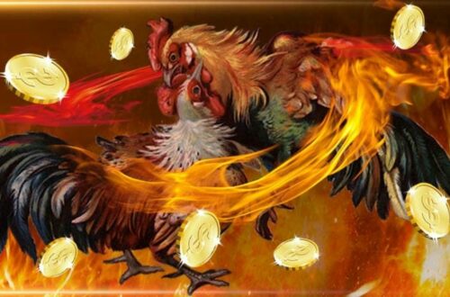  Giao diện xem đá gà trực tiếp trên nhà cái 69vn