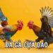 Các Bước Đăng Ký Tài Khoản Và Nạp Tiền Tại F168