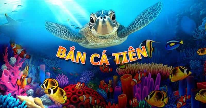 Quản Lý Vốn Và Thời Gian Để Duy Trì Lợi Thế