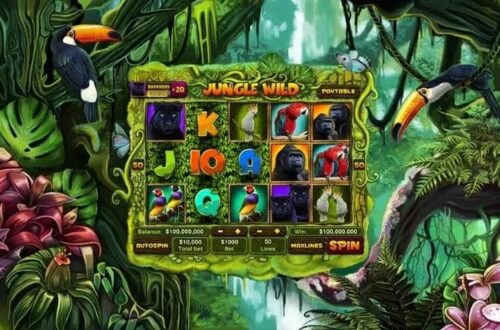 Mẹo Chọn Thời Điểm Săn Lý Tưởng Tại King Fun