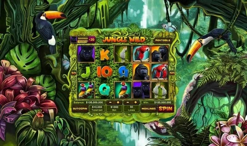 Mẹo Chọn Thời Điểm Săn Lý Tưởng Tại King Fun
