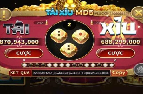 Bí Quyết Quản Lý Vốn: Nền Tảng Cho Chuỗi Thắng Dài