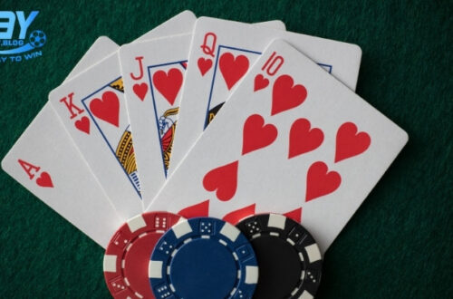 Hệ thống hợp tác đại lý chính thống được 8day triển khai