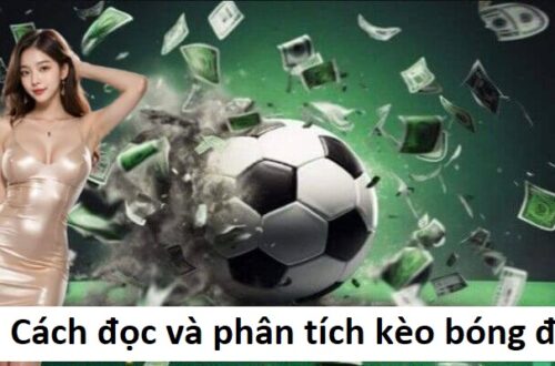 Cách đọc và phân tích Kèo bóng đá cho người mới