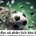 Cách đọc và phân tích Kèo bóng đá cho người mới