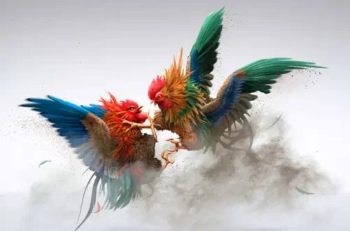 Cách chọn kèo Cựa Dao giúp vào trận chắc thắng