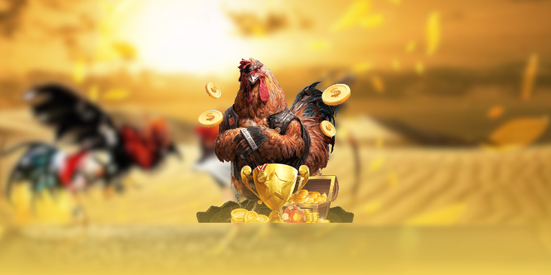 Cách tham gia xem đá gà WS168 trên Dola789