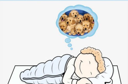 Giấc mơ thấy chó đánh con gì có rất nhiều tầng ý nghĩa