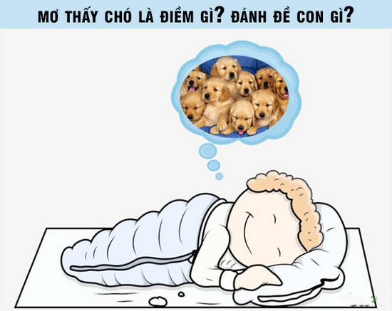 Giấc mơ thấy chó đánh con gì có rất nhiều tầng ý nghĩa