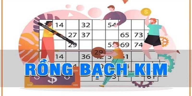 Biểu đồ kết quả thể hiện chuỗi thắng liên tiếp rõ nét