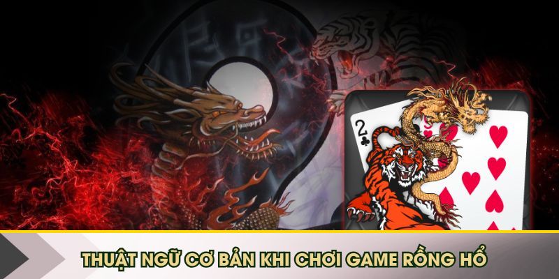 Thuật ngữ cơ bản khi chơi game Rồng Hổ