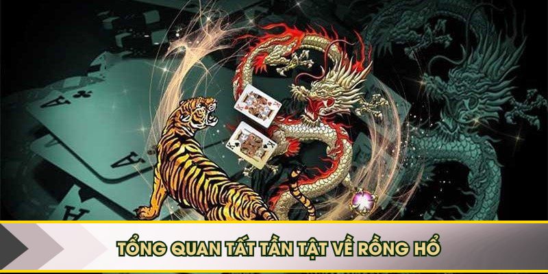 Tổng quan tất tần tật về Rồng Hổ