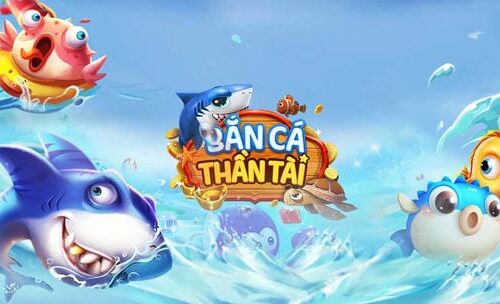 Quản lý ngân sách theo từng mức độ rủi ro 