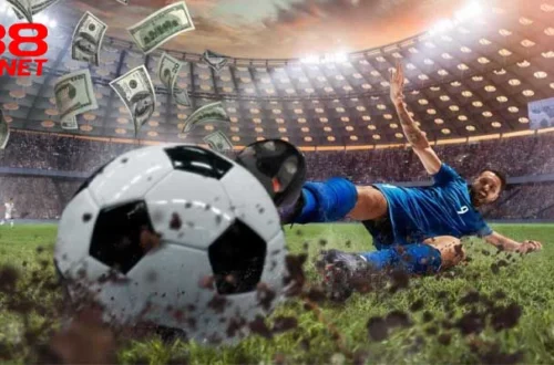 Giấy cấp phép hoạt động đánh giá sự uy tín của X88