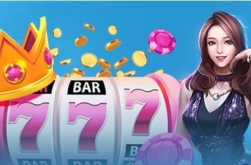 Cược thủ dành thời gian để đọc và so sánh