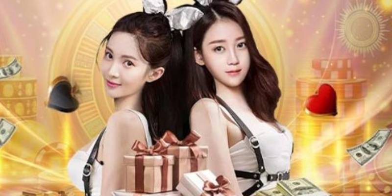 Người chơi nên xem phong độ của nhà cái rồi đặt cược