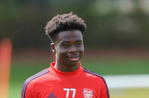 Những dấu ấn quan trọng đạt được trong nghề nghiệp