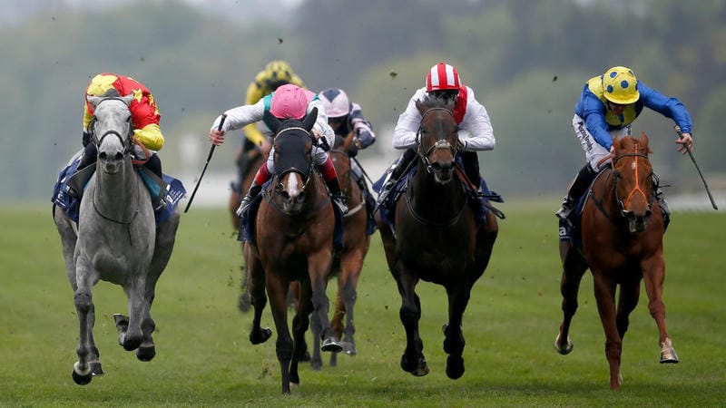 Tối Ưu Tỷ Lệ Cược Biến Động Nhanh