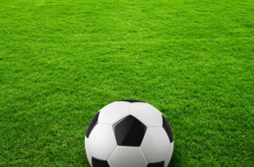 Các loại tỷ lệ bóng đá tại Simnguquygiua.com cho dân cược chuyên