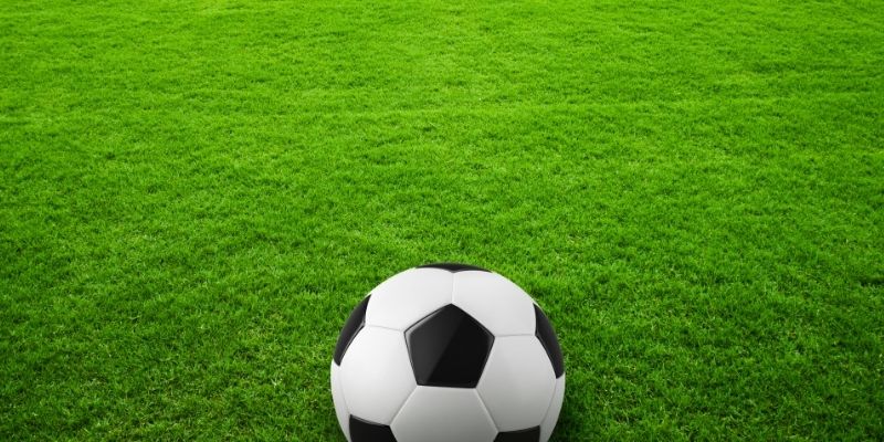 Các loại tỷ lệ bóng đá tại Simnguquygiua.com cho dân cược chuyên