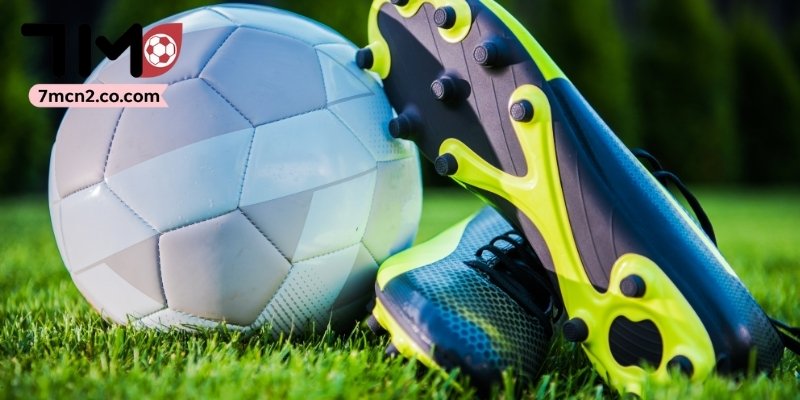 7M và thông tin về nền tảng bóng đá trực tuyến hàng đầu