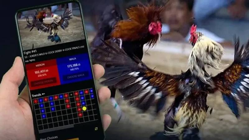 Bí quyết vàng để cược đá gà hiệu quả từ các chuyên gia