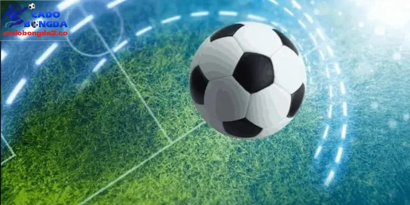 Tiêu chí quan trọng để đánh giá trang cược bóng đá uy tín