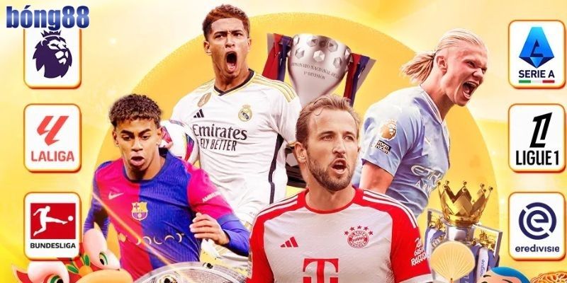 Cảm nhận thực tế của hội viên chơi cá cược