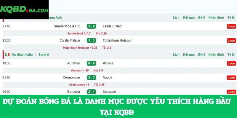 Các Yếu Tố Quan Trọng Trong Dự Đoán Bóng Đá