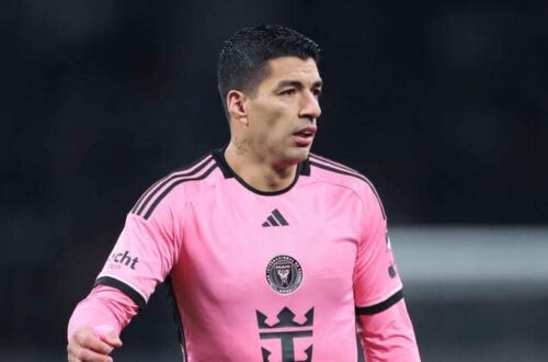 Đứng dậy từ bùn đen để khẳng định đẳng cấp