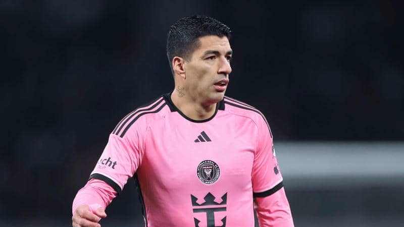 Đứng dậy từ bùn đen để khẳng định đẳng cấp