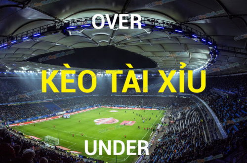 Tỷ lệ trả thưởng và phân tích rủi ro trước khi ra quyết định