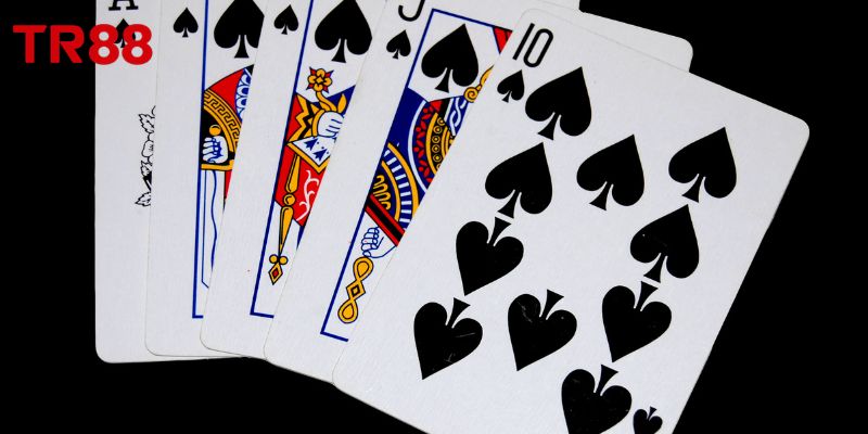 Mậu binh phù hợp cho cả người mới tham gia