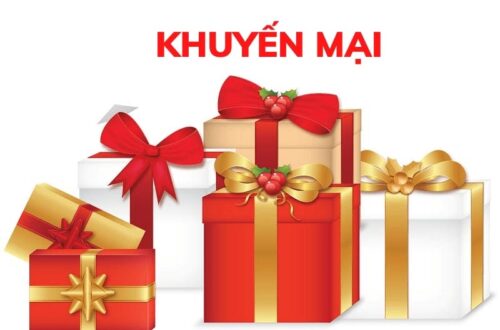 Chi tiết danh mục quà tặng dành cho người mới