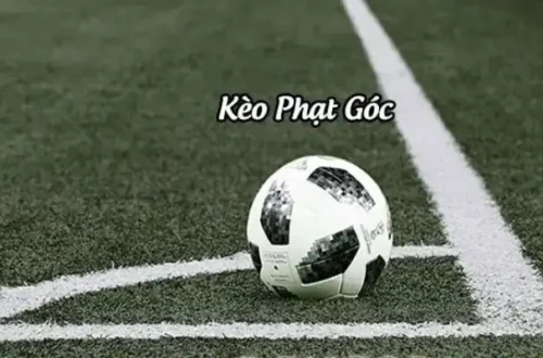 Bí kíp bắt kèo phạt góc hiệu quả từ cao thủ