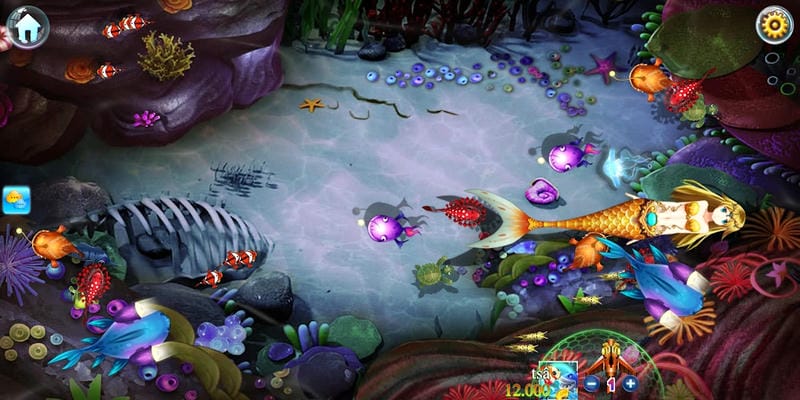 Mẹo và chiến lược săn cá hiệu quả dành cho tân thủ