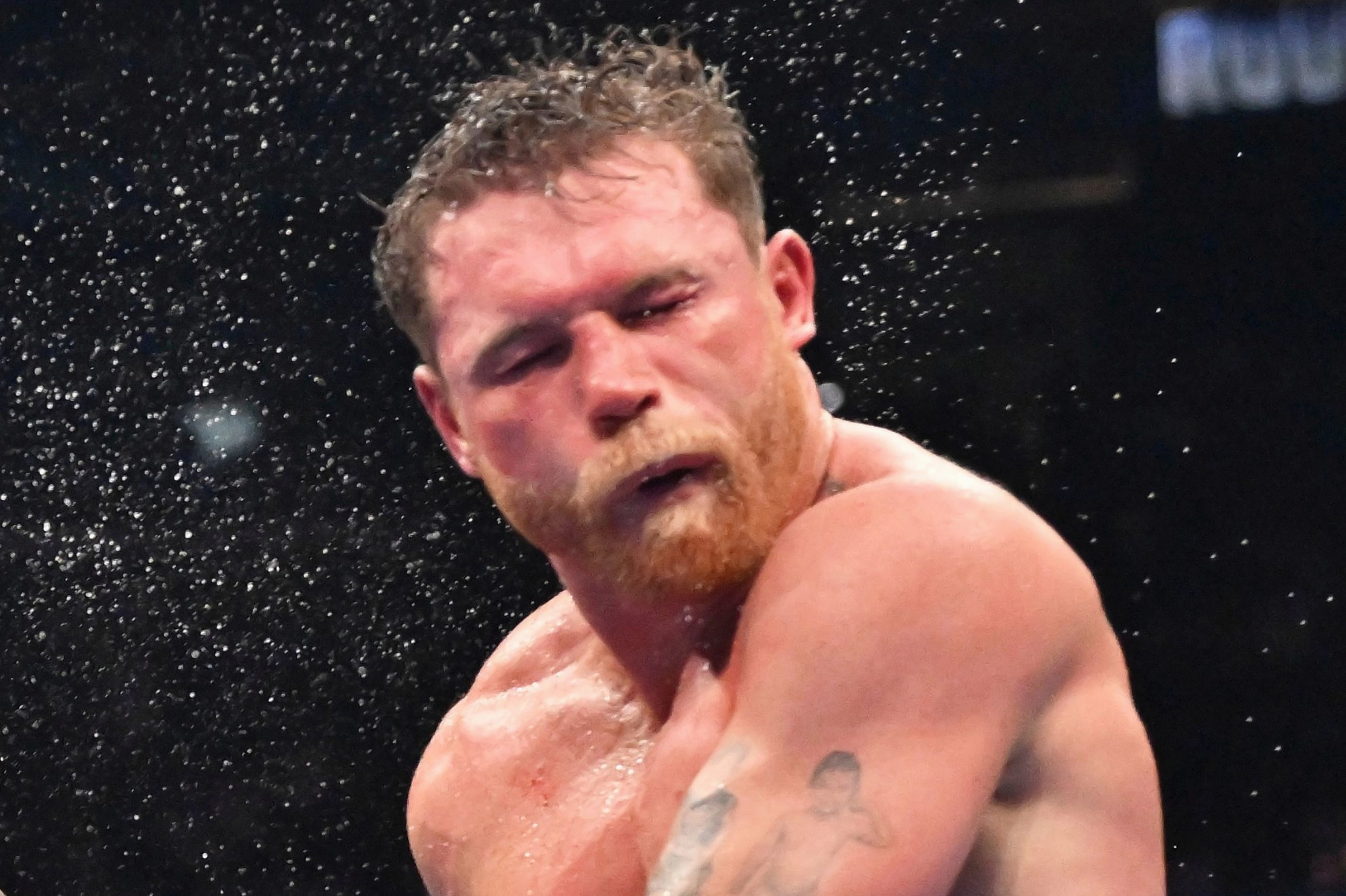 Terence Crawford landing a clean left punch on Canelo Alvarez during the championship match